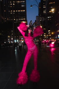 Pink on Pink Faux Fur Catsuit