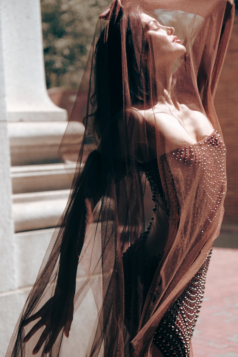 Earthlings Brown Flowy Tulle Dress