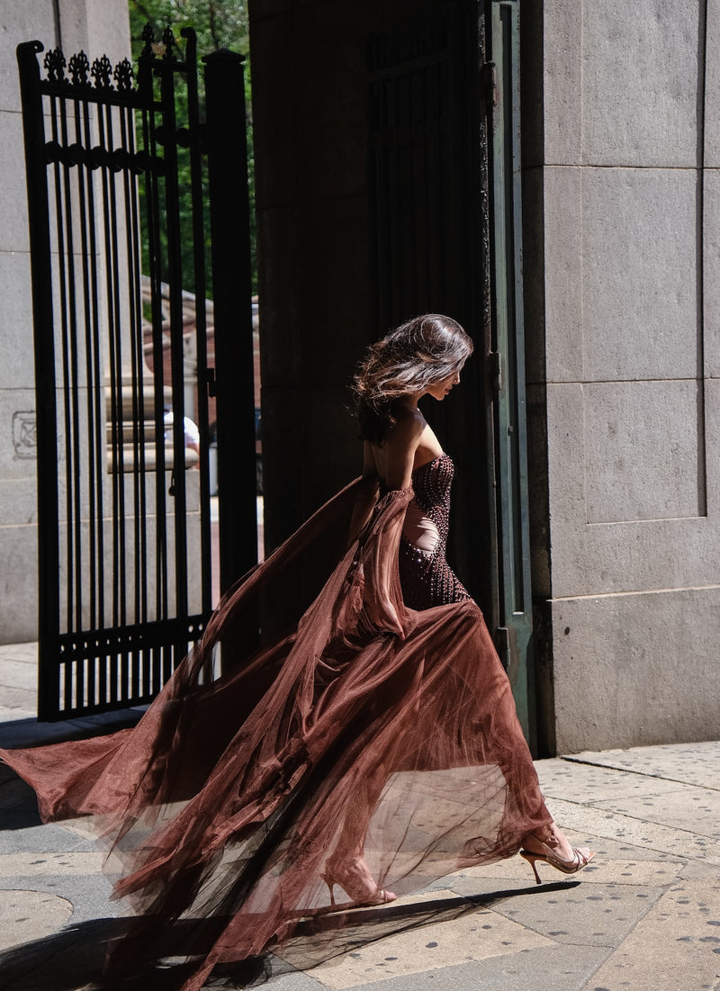 Earthlings Brown Flowy Tulle Dress