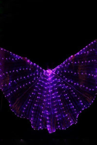 HARMONIA wings-costumes-Harmonia-burning man-burning man costumes-festival outfits-halloween costumes-Harmonia