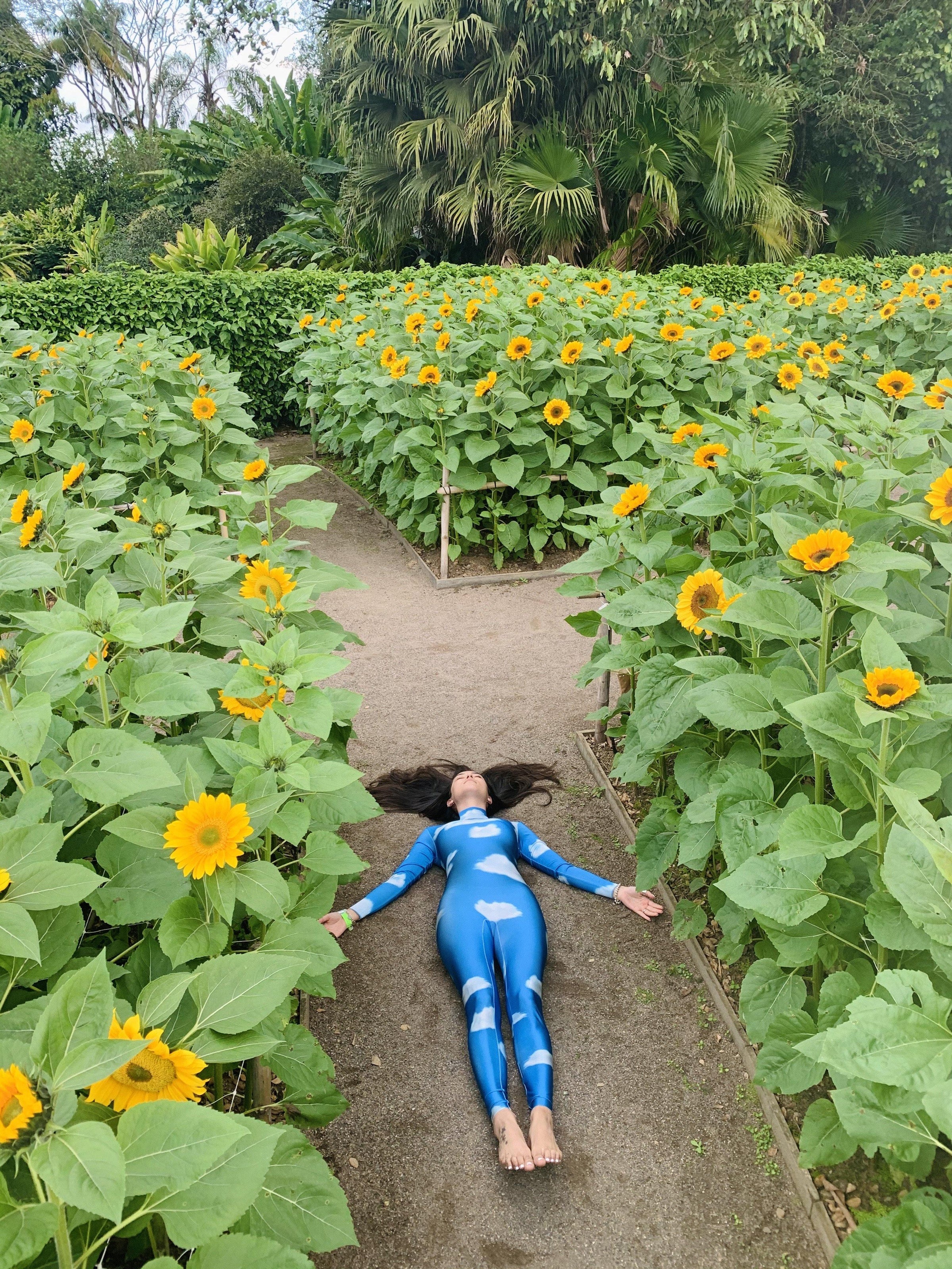 TAKE ME TO THE CLOUDS ABOVE bodysuit - Harmonia